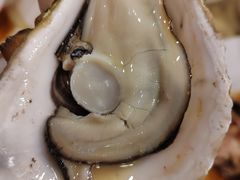 -荔枝柴烧鹅酒家(坦洲分店)