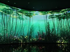 -中国湿地博物馆