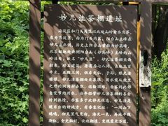 -阳台山自然风景区