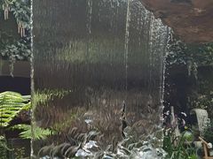 -花之城