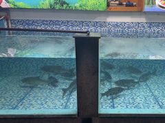 -故乡缘·香格里拉山庄(冷竹路店)