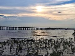 -宝安西湾红树林湿地公园