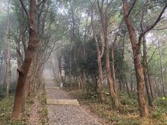-雨花胜境