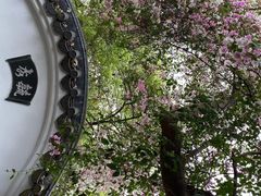 -深圳国际园林花卉博览园