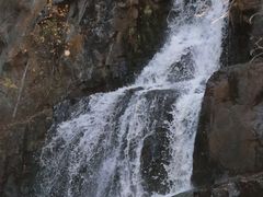 -茅兰沟国家森林公园