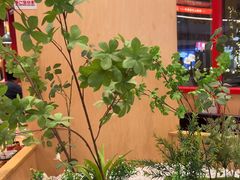 -华记煲仔华·煲仔饭(三元里万科里店)