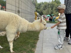 -廊坊固安福朋喜来登酒店