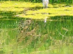 -马家湾湿地公园