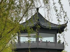 -盐城丹顶鹤湿地生态旅游区