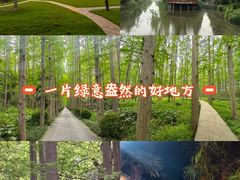 -上海怡沁园度假酒店