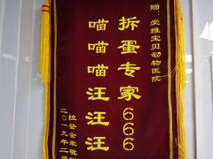 -中农大我爱我爱24h动物医院·中医针灸·猫专科·骨科医疗中心(双井店)