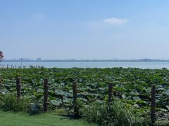 -七的湖·晚芳亭·阳澄湖农家菜·大闸蟹(莲花岛店)