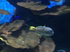 -多彩贵州城极地海洋世界