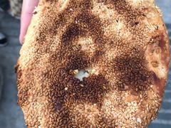 -迎春桥老炉烧饼(碧霞路店)