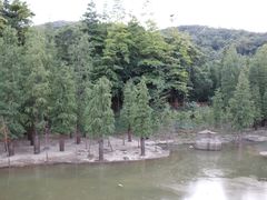 -广州市帽峰山景区