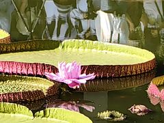 -国家植物园南园