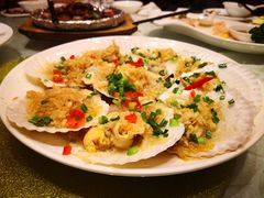 蒜蓉蒸扇贝-阿英煲(凉城路店)