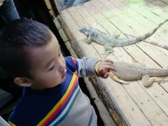 -石家庄市动物园