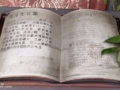 -安仁古镇