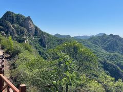 -大岭沟猕猴桃谷风景区