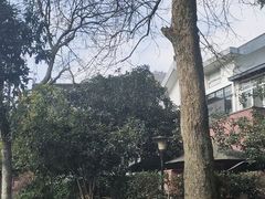 -菲滋意式休闲餐厅(北仑银泰城店)