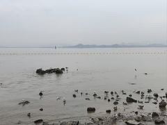 -深圳湾公园(南山区)