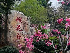 -狐尾山公园
