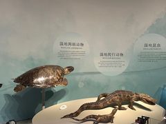 -中国湿地博物馆