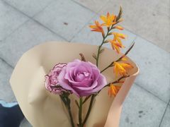-虾神於氏龙虾·小龙虾(江宁旗舰店)