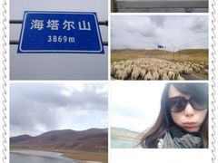 -青海湖国家重点风景名胜区