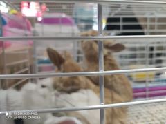 -城市传媒广场