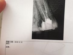 -上海市杨浦区牙病防治所