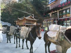 -藏龙百瀑风景区