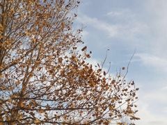 -敦煌雅丹国家地质公园