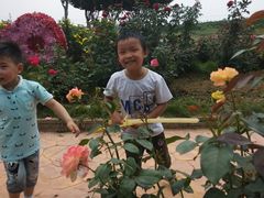 -武汉紫薇都市田园