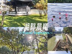 -荔湾湖公园