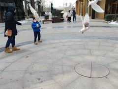 -中粮·祥云小镇