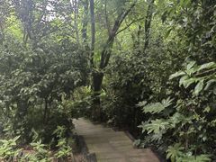 -龙头寺公园