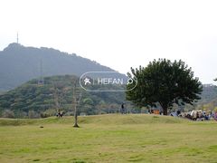 -风云岭森林公园