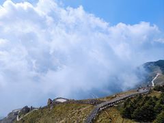 -白草畔自然风景区