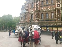 -滴血救世主教堂