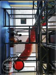 -天空之城家庭互动游乐场