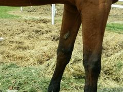 -武清南湖绿博园