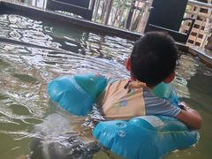 -张家港金凤凰度假村温泉