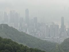 -大金鹰园