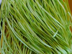 -德顺斋爆肚涮肉馆·烧烤·羊蝎子·清真炒菜(马驹桥店)