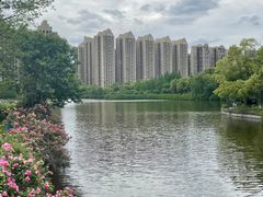 -成都南湖公园