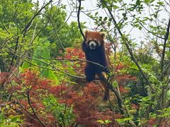 -宁波野生动物园
