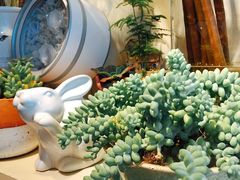 -花言草语鲜花店(灵山路店)