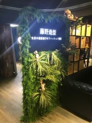 点击看大图 -藤野造型